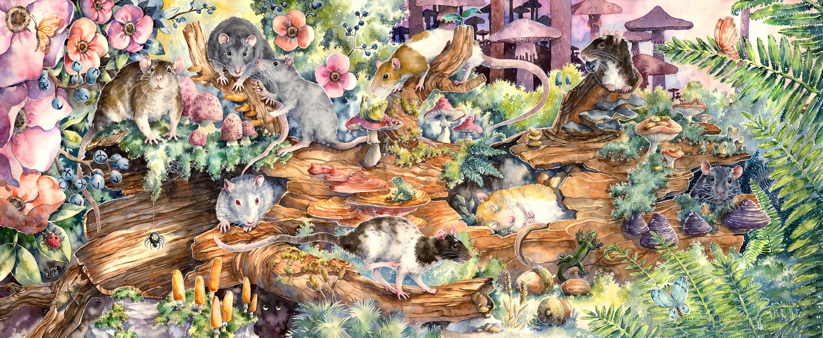 This image for Image Layouts addon