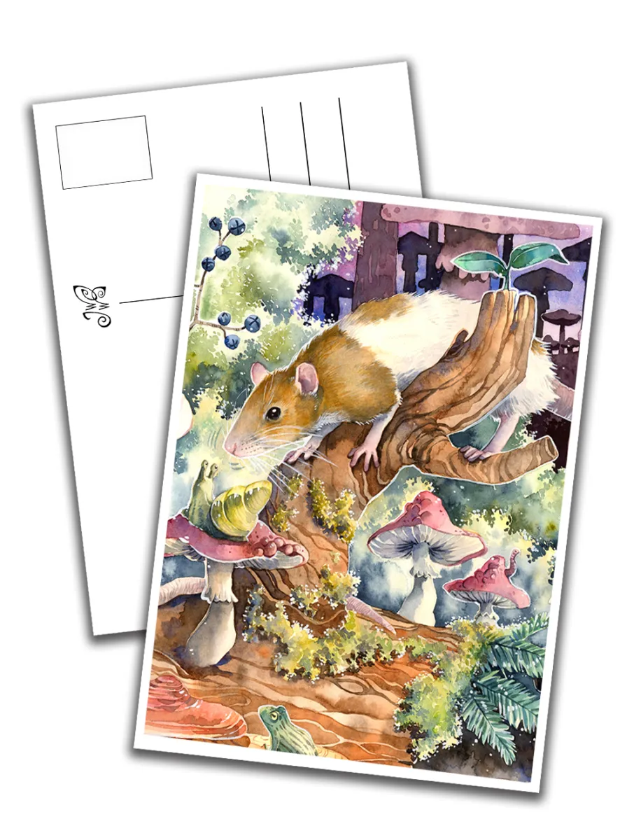 Card - Rat Sniffing a Snail