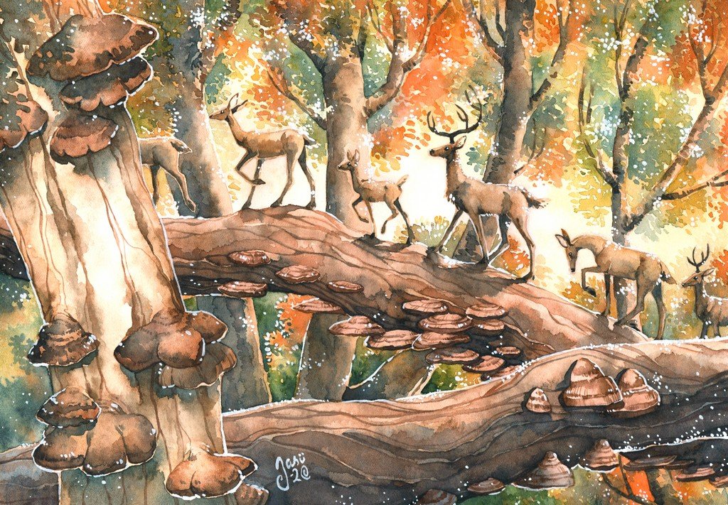 Print - Deer Highway