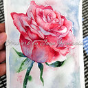 Last weekend I attended a "triple-graduation party" and made three cards for the occasion (+4 tiny cards to go along some roses). :)