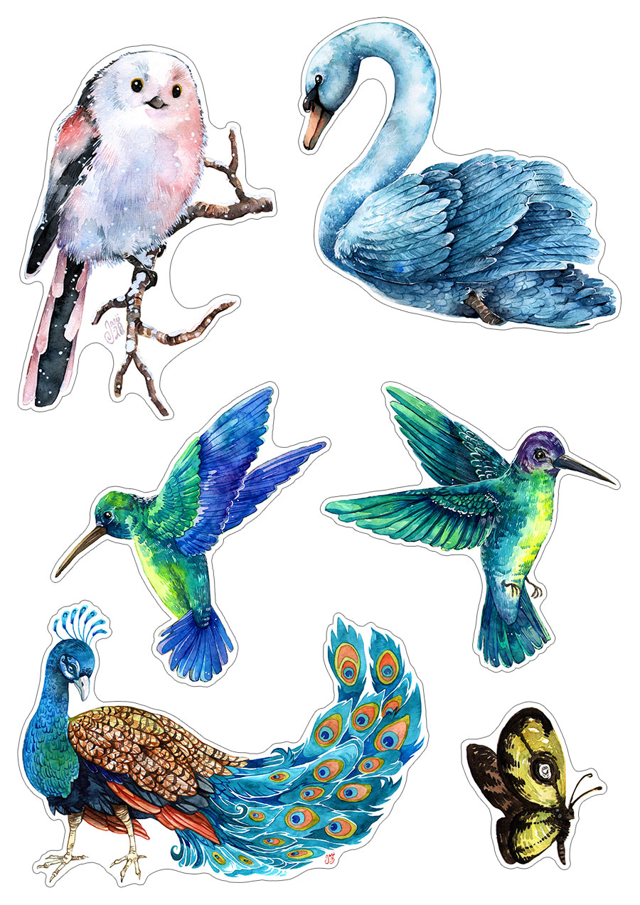 Sticker Set - Birds