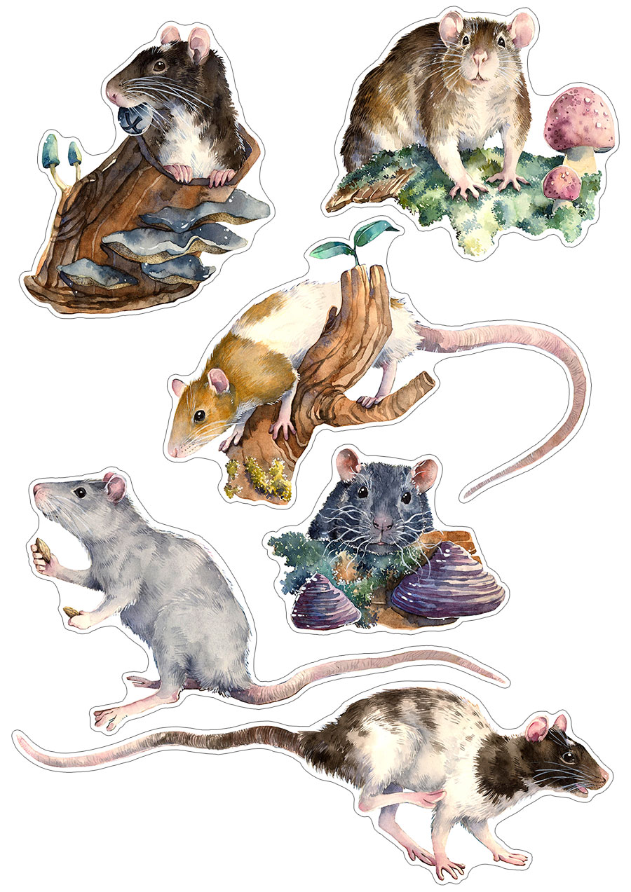 Sticker Set -Rats