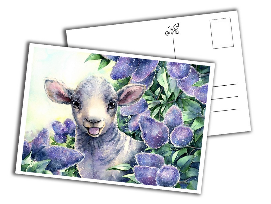 Card - Little Lamb