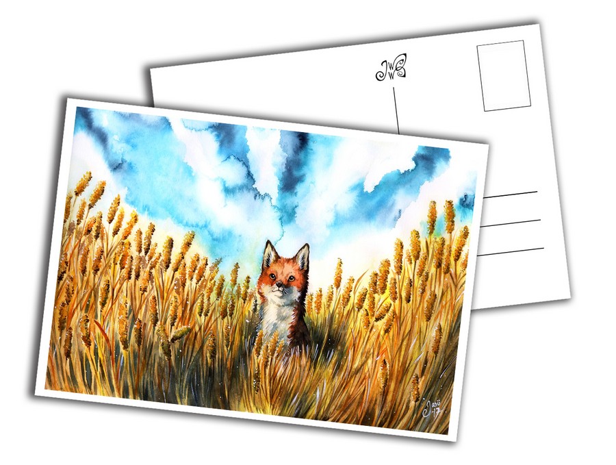 Card - Fox on a Grain Field