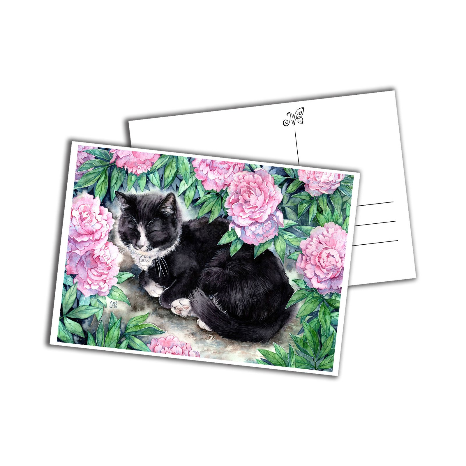 Card - Nap Under the Peonies