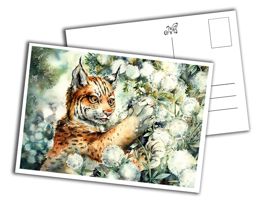 Card - Lynx Cub