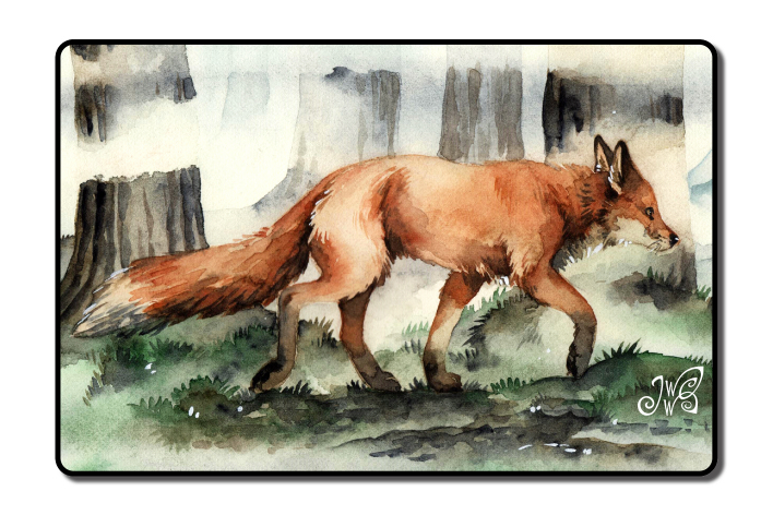 Magnet - Fox in the Mist