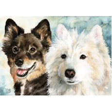 Print - Finnish Lapphund and Samoyed