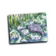 Card - Happy Seal with Friends