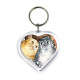 Seals in Love
