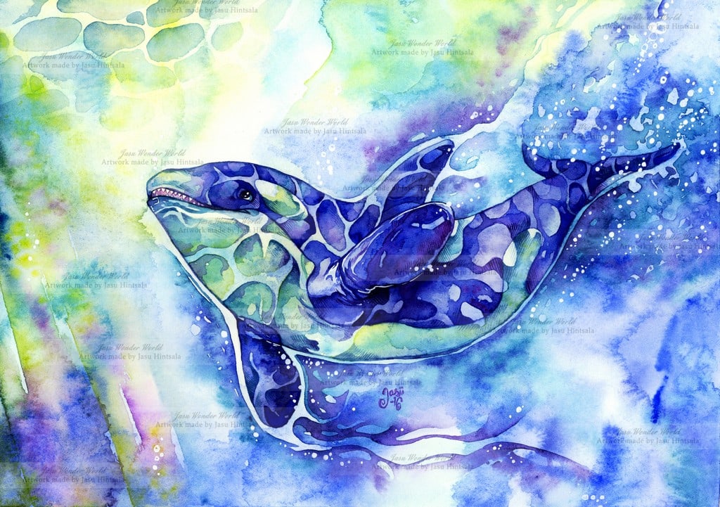 Orca