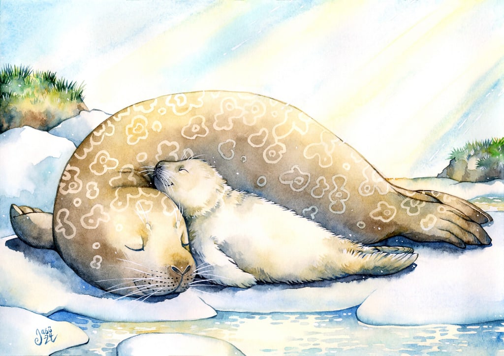 Mother Seal and Pup