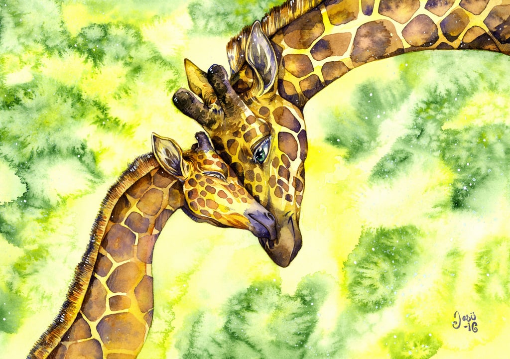 Giraffe Love