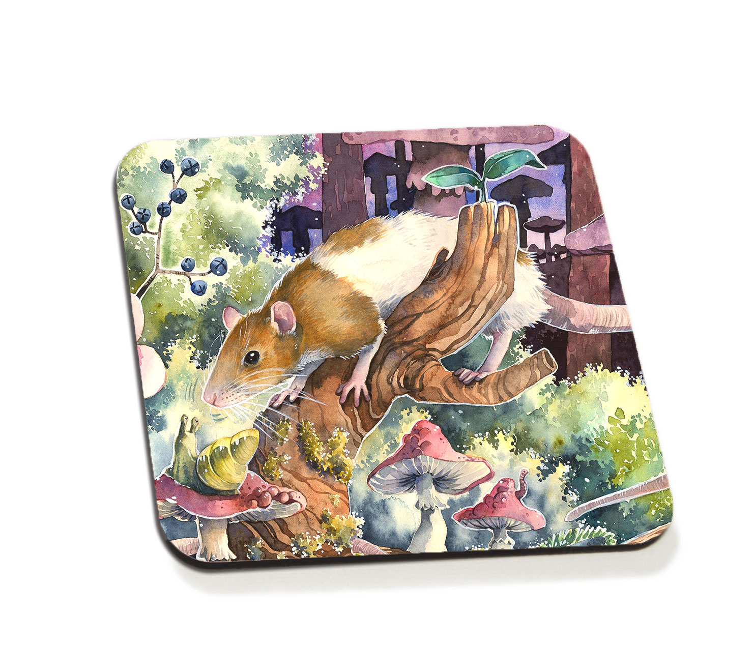 Rat Sniffing a Snail