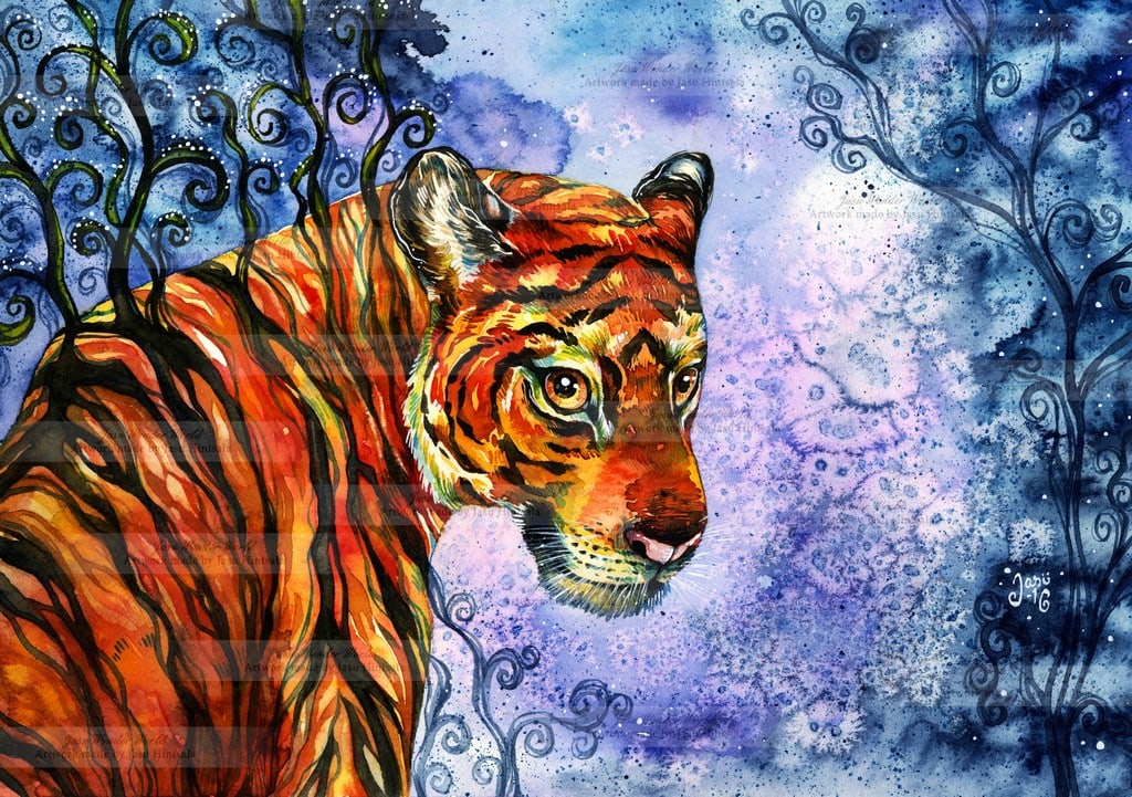 Tigerns blick