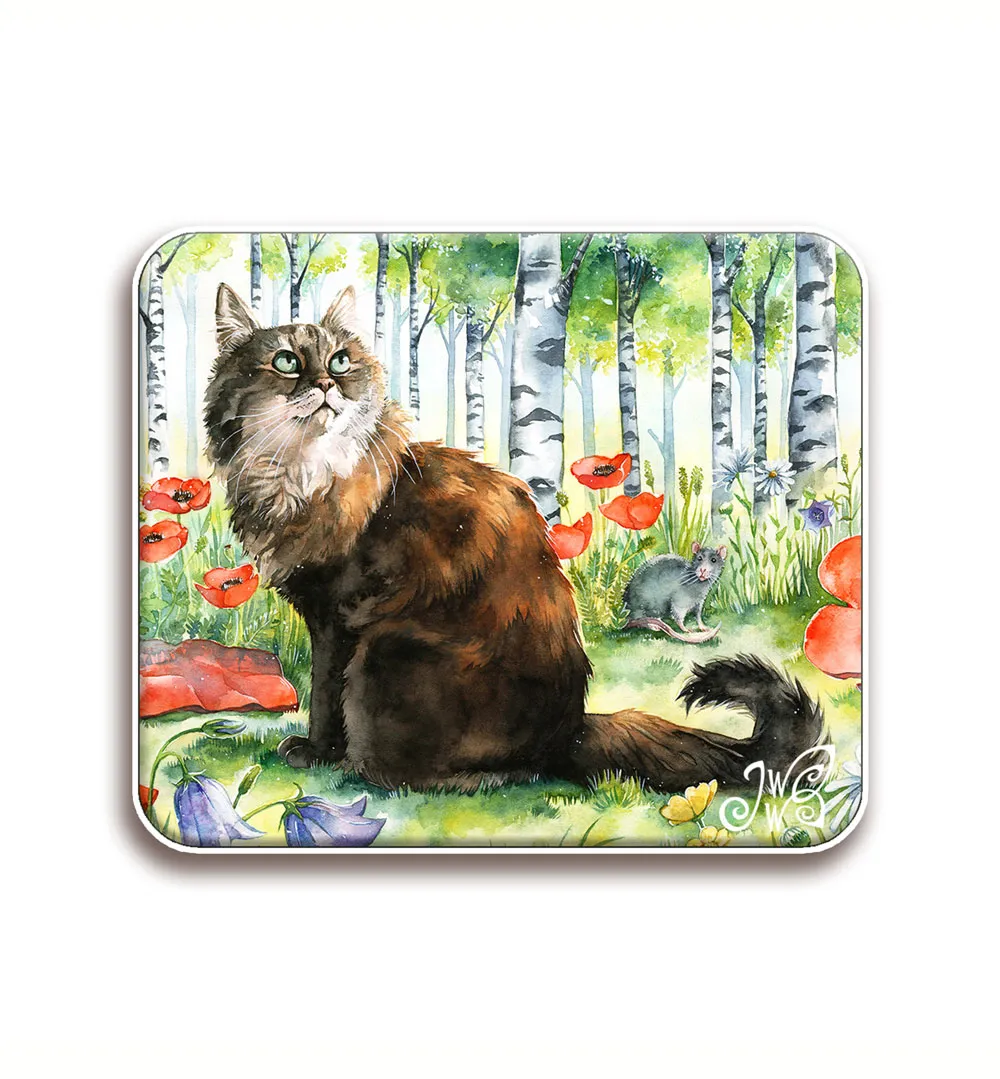 Kissa kesällä