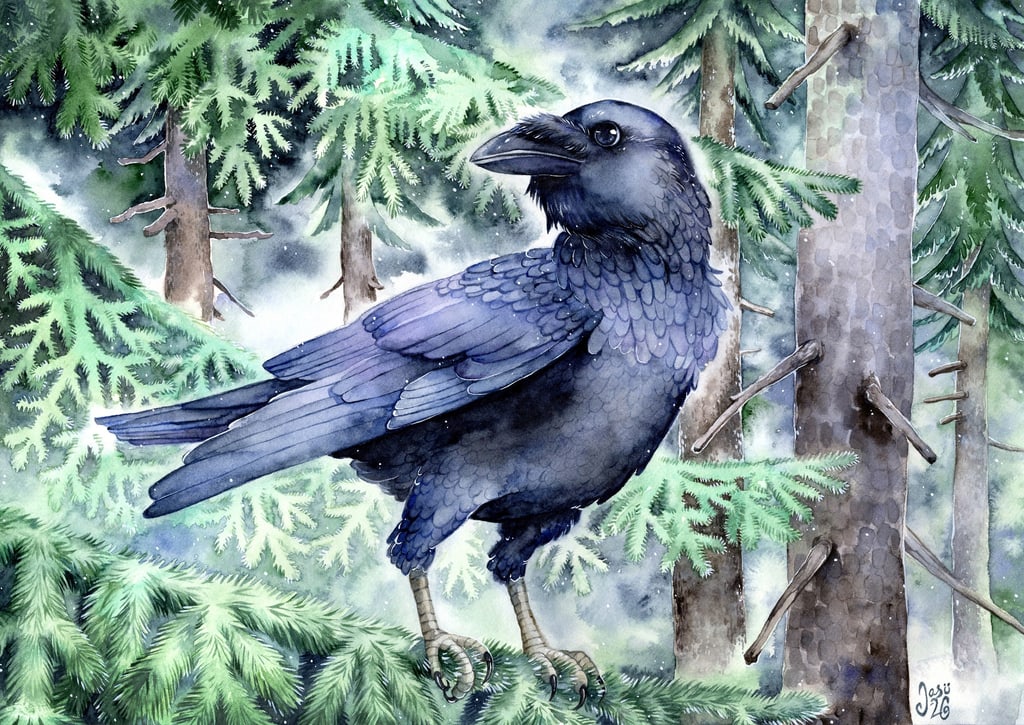 Forest Raven