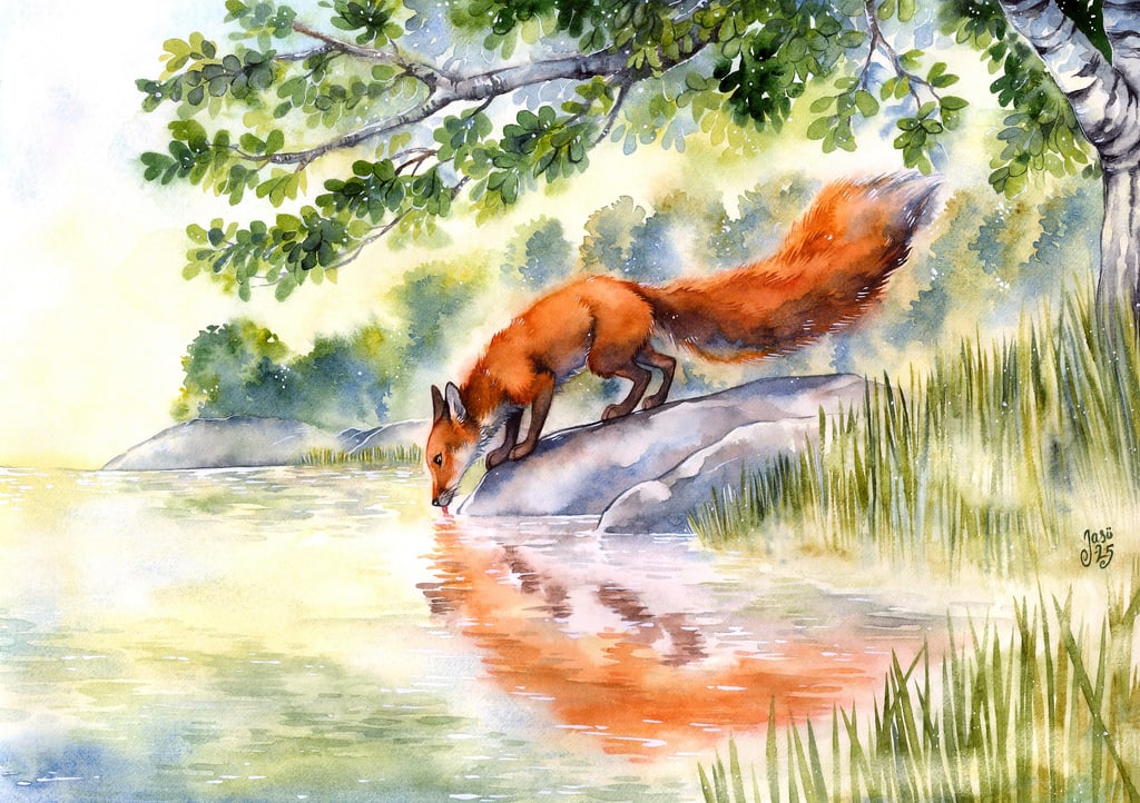 Fox at the Lake