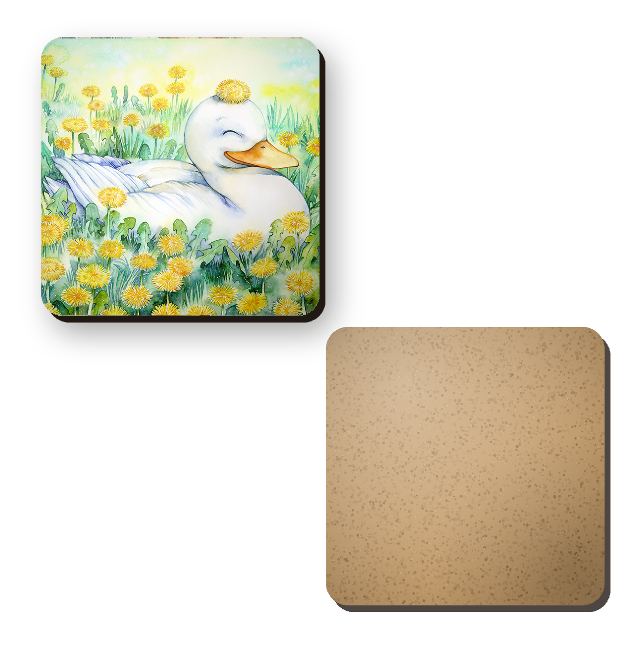 Duck - photo 2