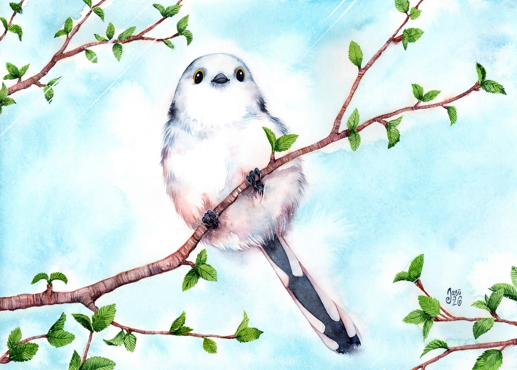 Long-Tailed Tit