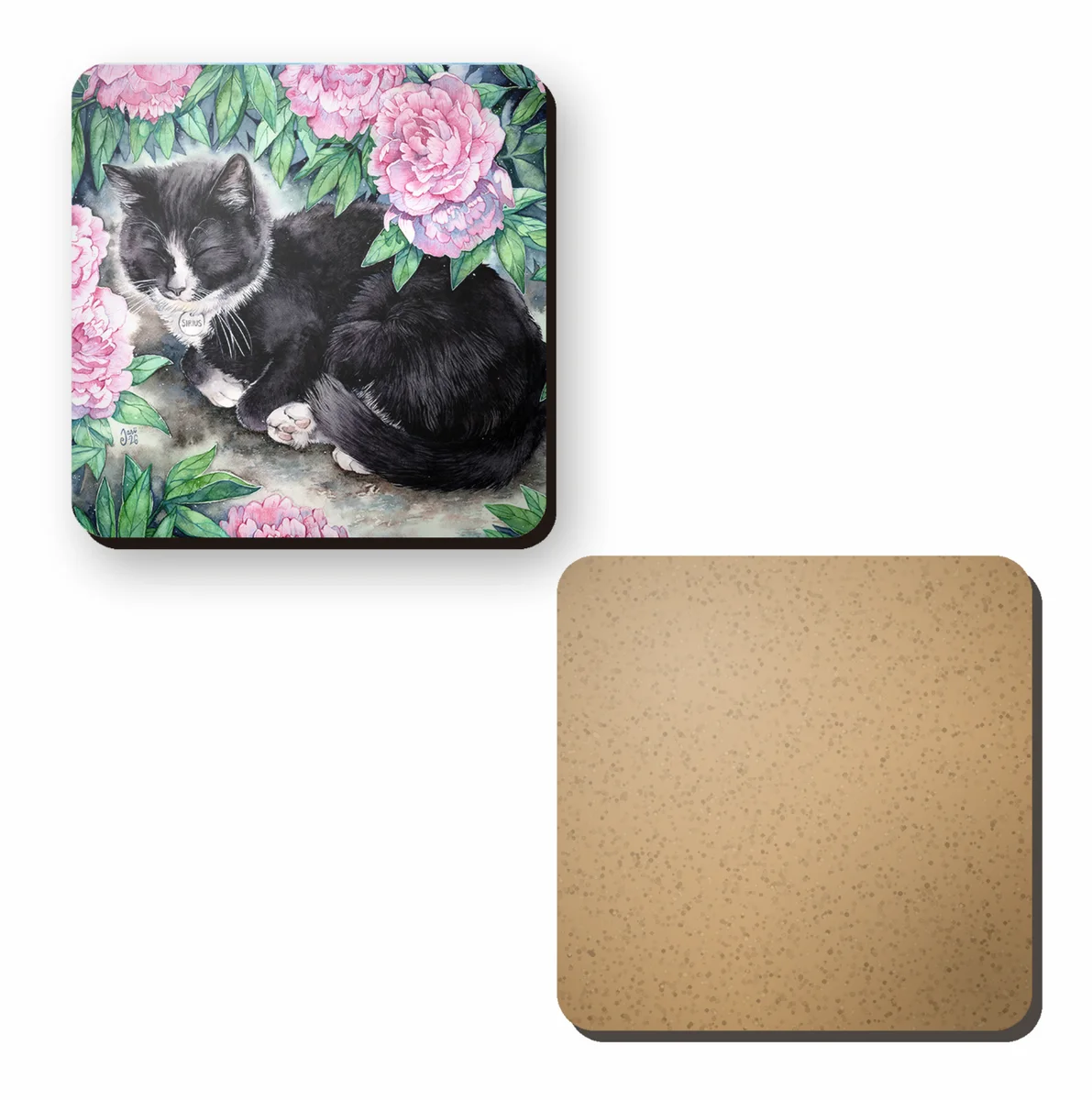 Katt bland pioner - bild 2