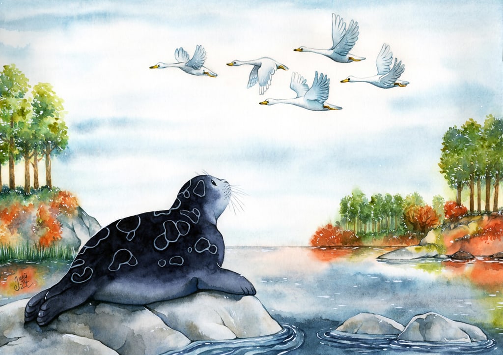 Seal by the Lake