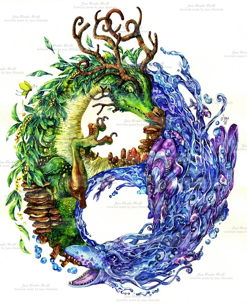 Yin & Yang-drakar