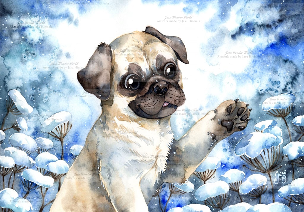 Pug in Winter