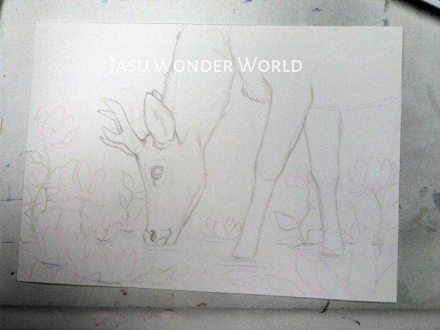 Jasu Wonder World Calendar 2019 – February