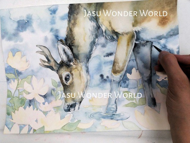 Jasu Wonder World Calendar 2019 – February