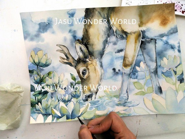 Jasu Wonder World Calendar 2019 – February