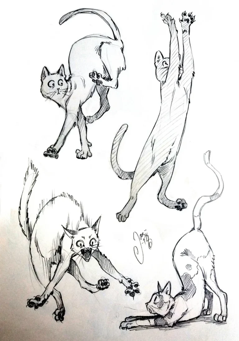 Sketches (95) - Sketches