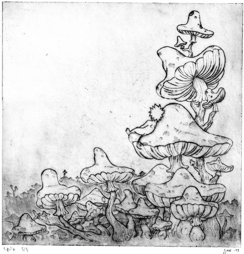 Age 19 20 Sample (31)