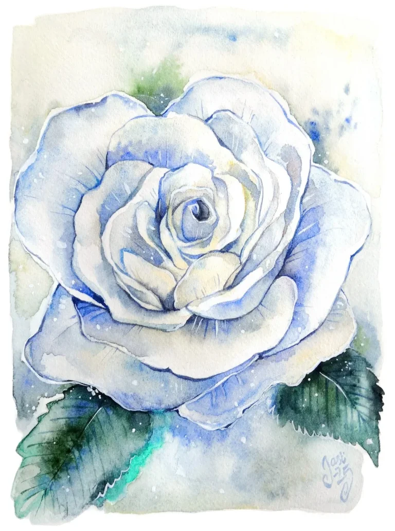 Rose 2 - Commissions