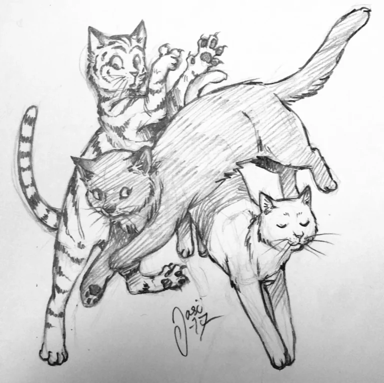 Sketches (56) - Sketches
