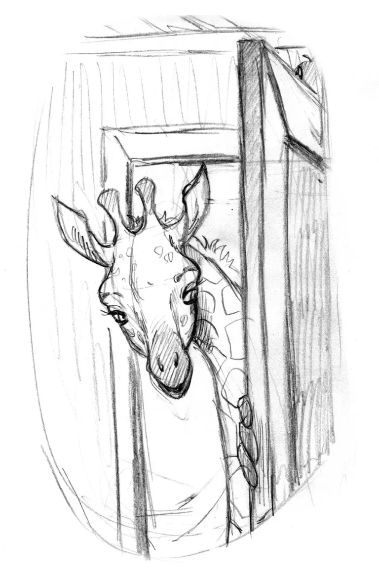 Sketch 23 1 - Book Illustrations
