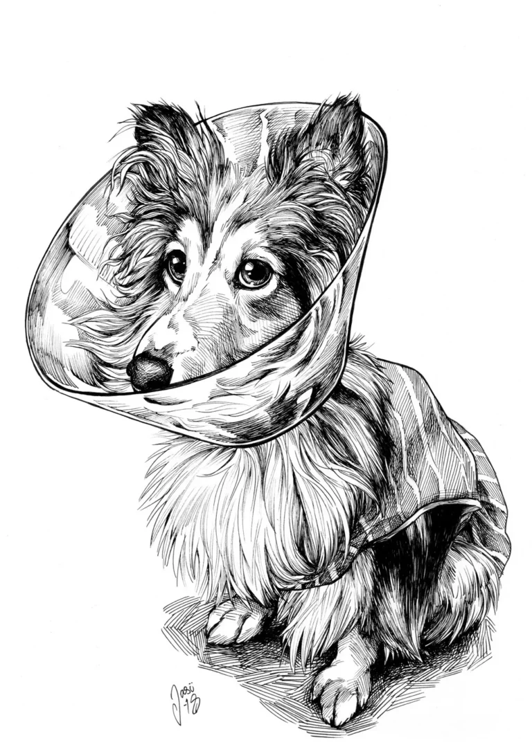 2016 2019 Sample (8) - Commissions