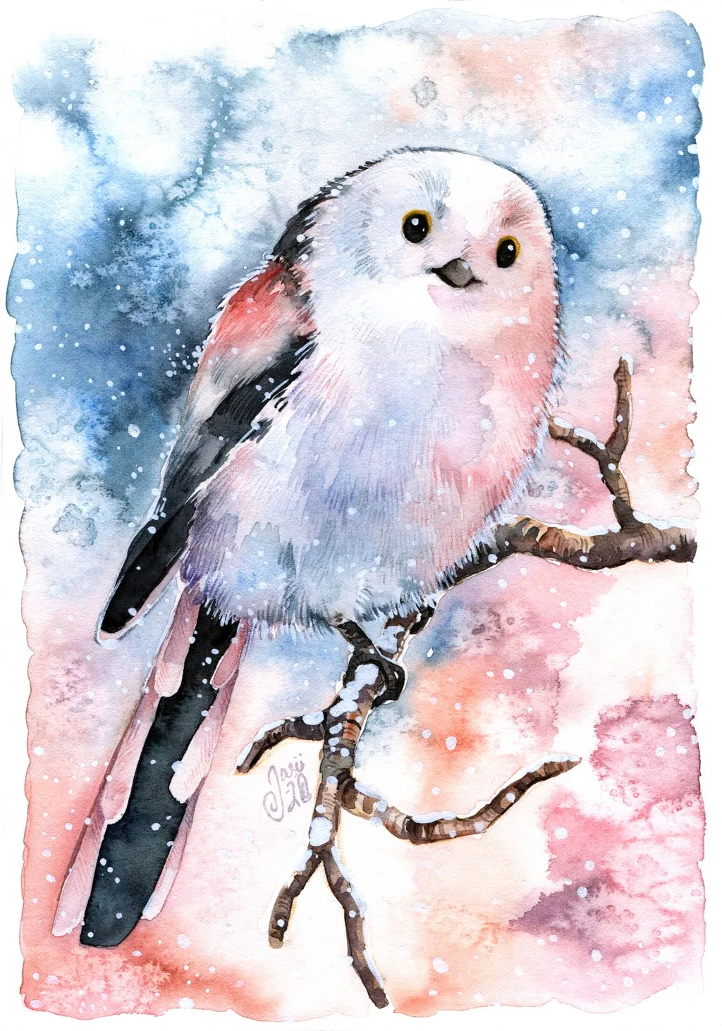 Long Tailed Tit