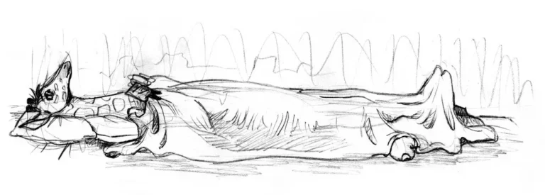 Sketch 15 1 - Book Illustrations