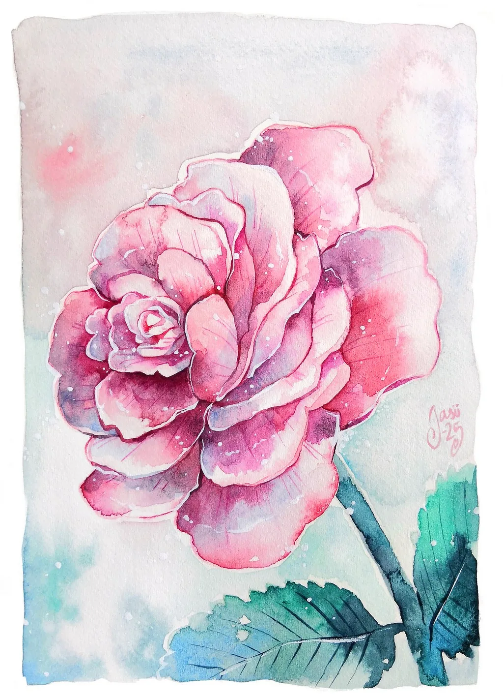 Rose 1