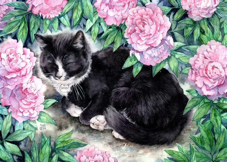Cat portrait commission Sirius - Commissions