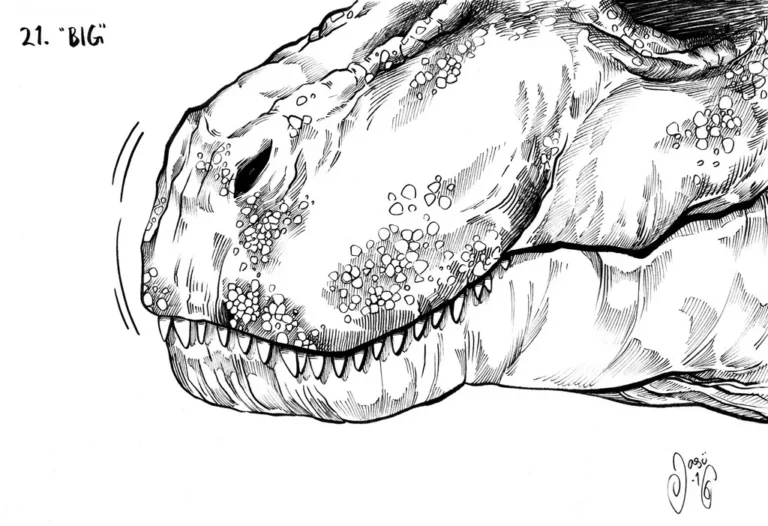 Sketches (17) - Sketches