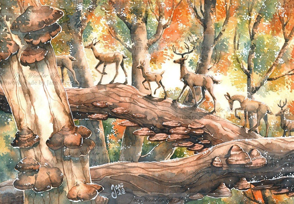 JWW 2021 Calendar - June, July, August and September