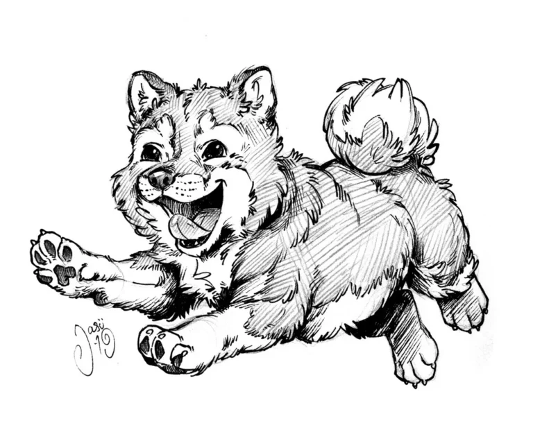 Sketches (142) - Sketches