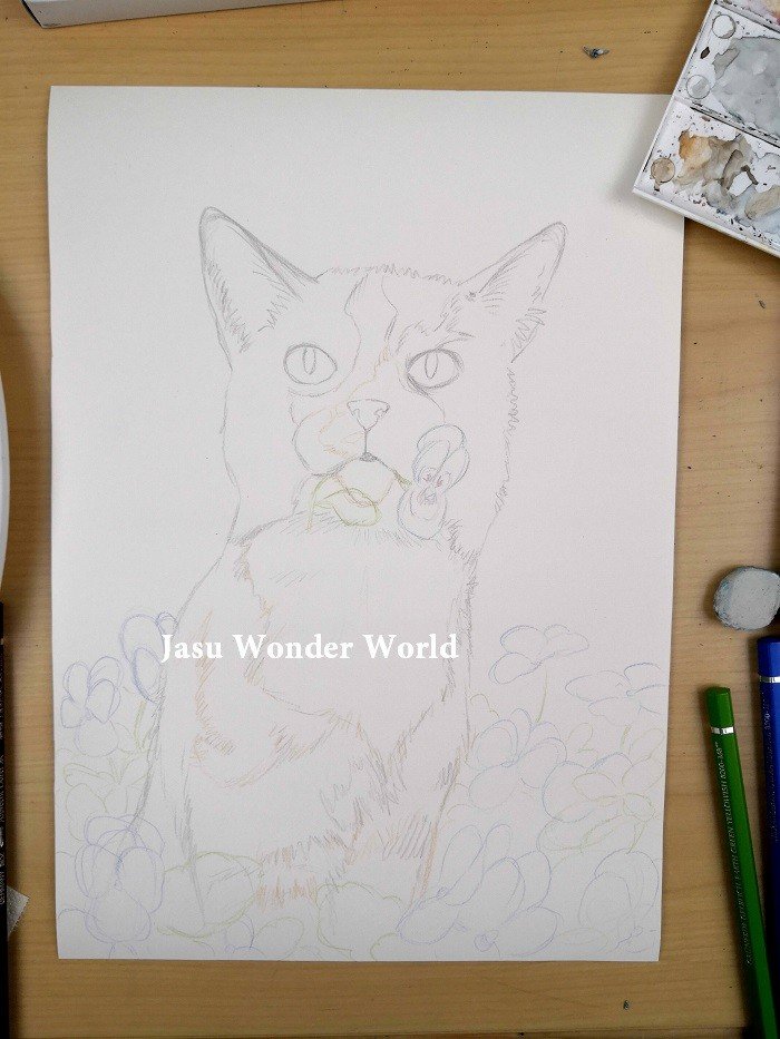 Cat Portrait - Commission