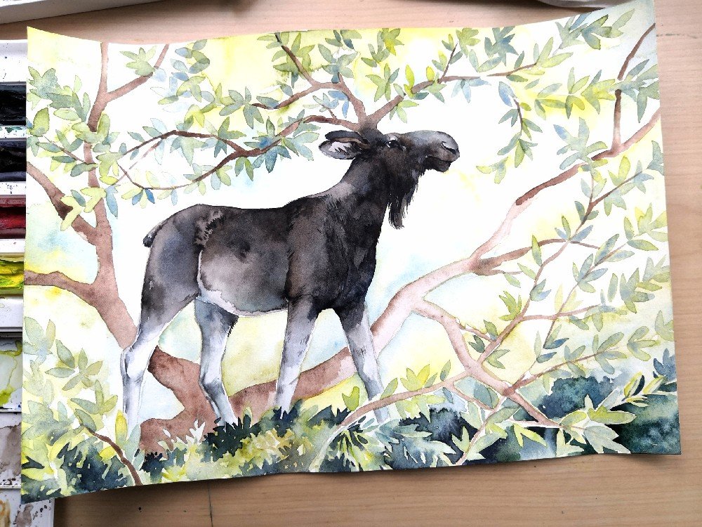 The King of the Forest - JWW 2021 Calendar, "In the Wonder World"