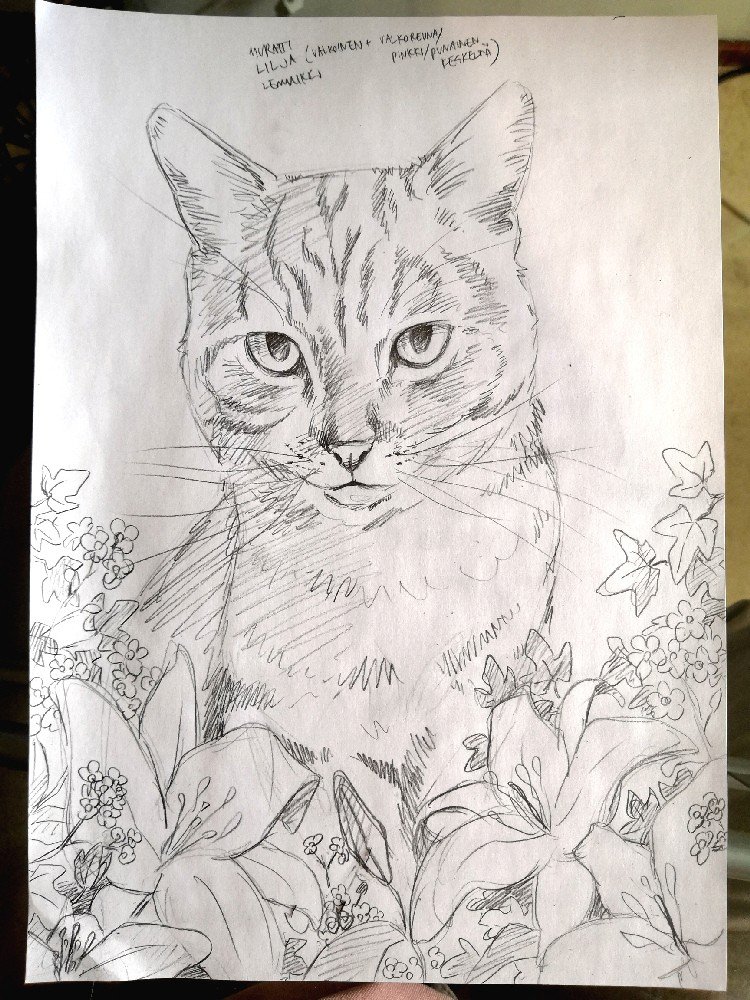 My Second Cat Portrait Commission