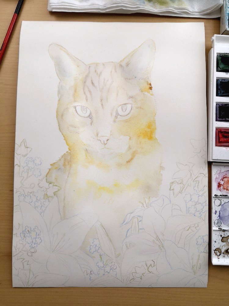 My Second Cat Portrait Commission
