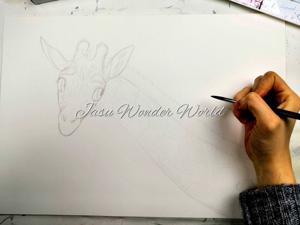 The Final Portion of Sebastian Illustrations