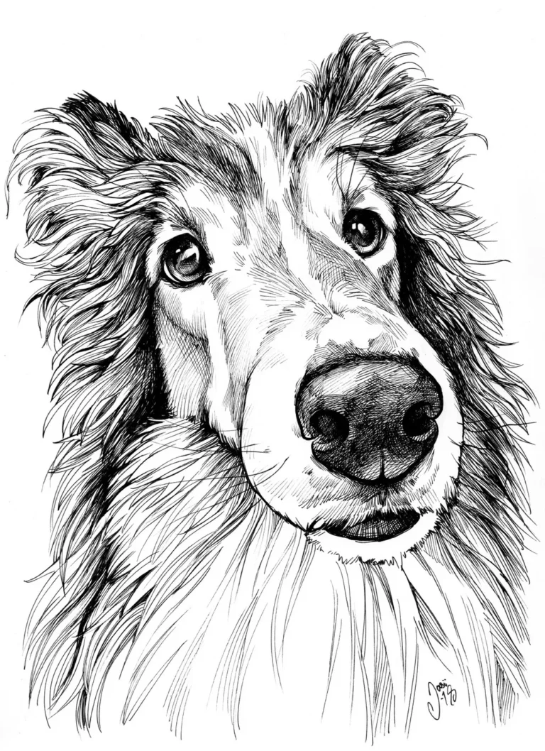 2016 2019 Sample (11) - Commissions